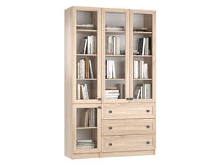 Книжный шкаф Ньютон 12.1